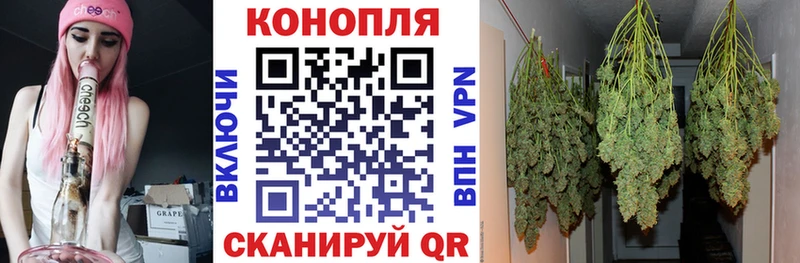 купить  цена  Люберцы  Бошки марихуана Bruce Banner 